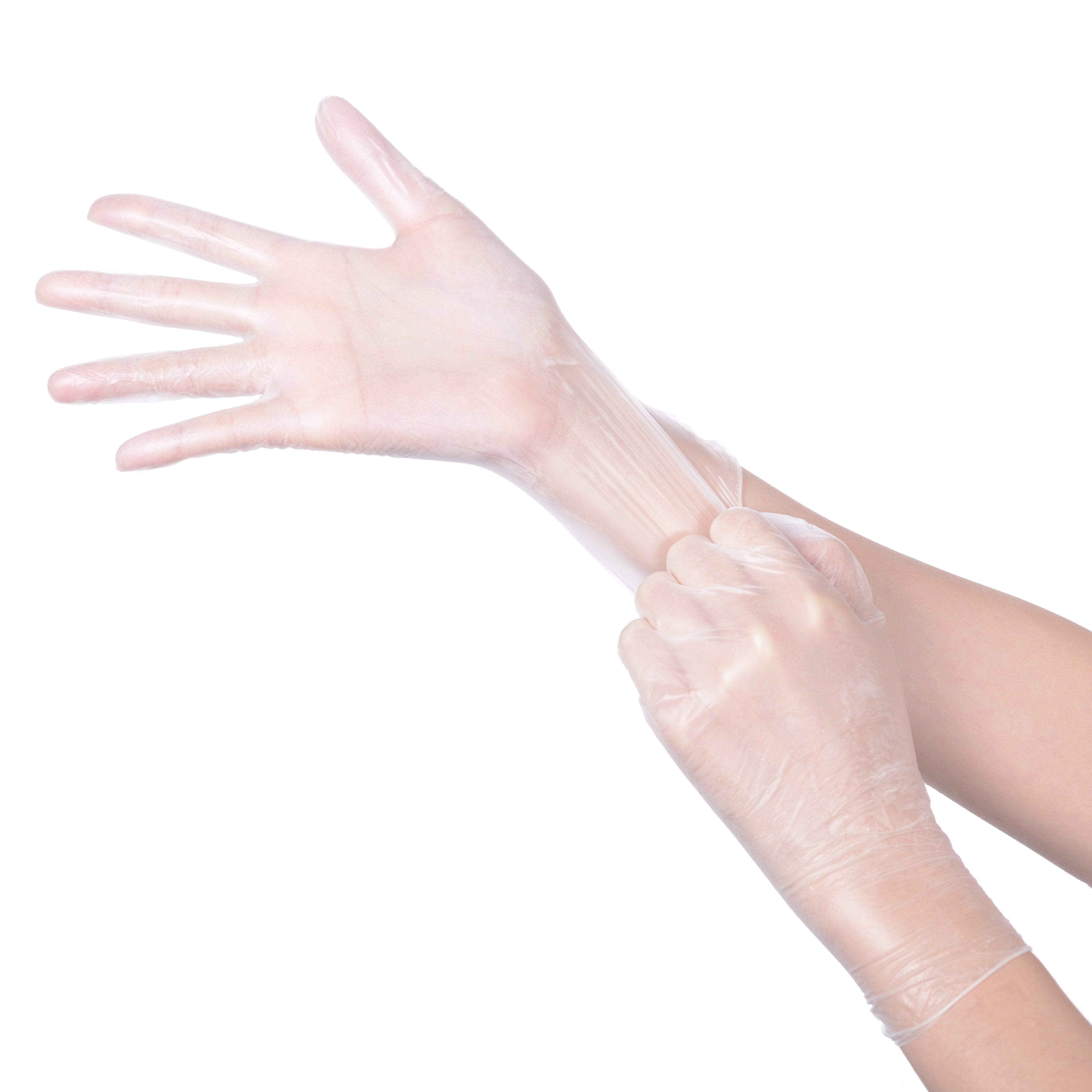 Daxwell Vinyl Powder Free Gloves, Small (1,000)
